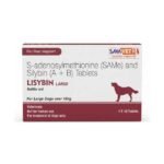 Lisybin Large