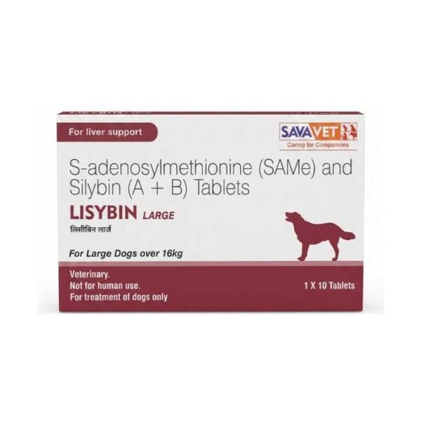 Lisybin Large