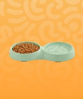 cat bowl feeders