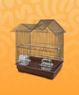 bird cage