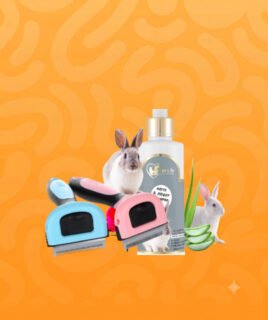 rabbit grooming
