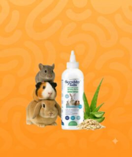 rabbit shampoo