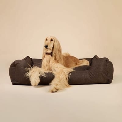 dog-bed